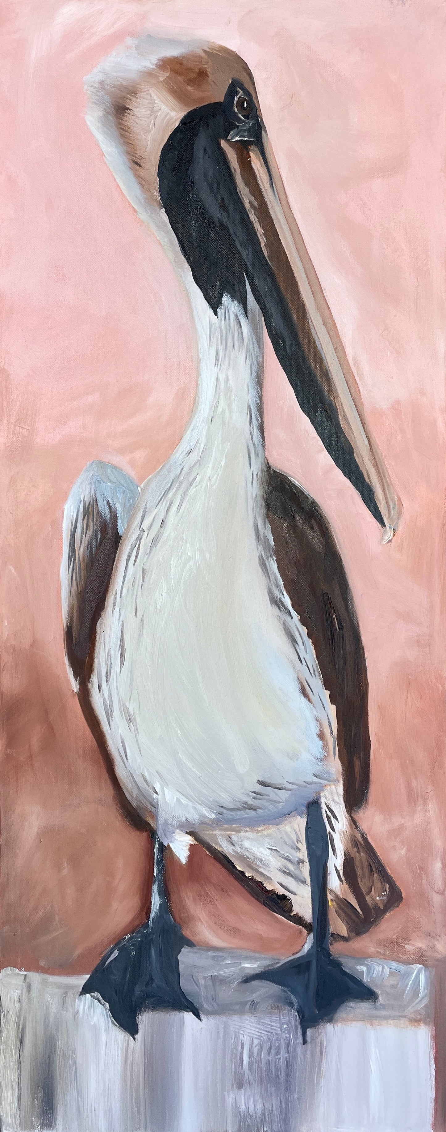 Blush Pelican
